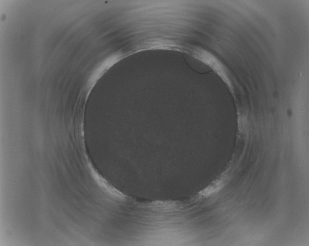 X0000076100954200610061703