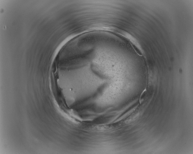 X0000076100955200610061703