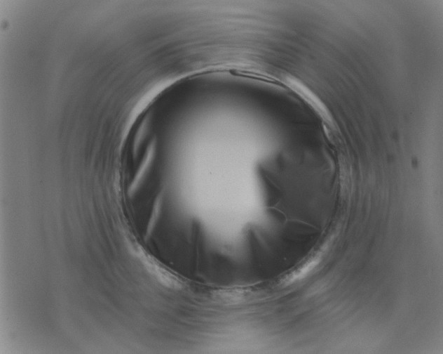 X0000076100956200610061703