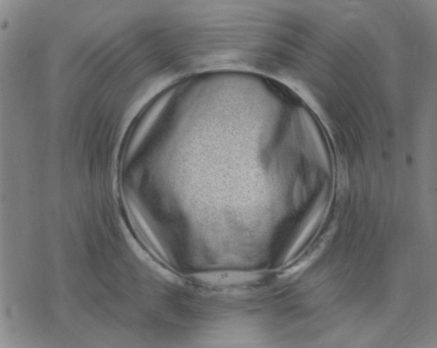 X0000076100957200610061703