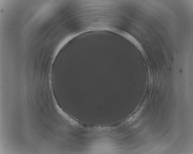 X0000076100958200610061703