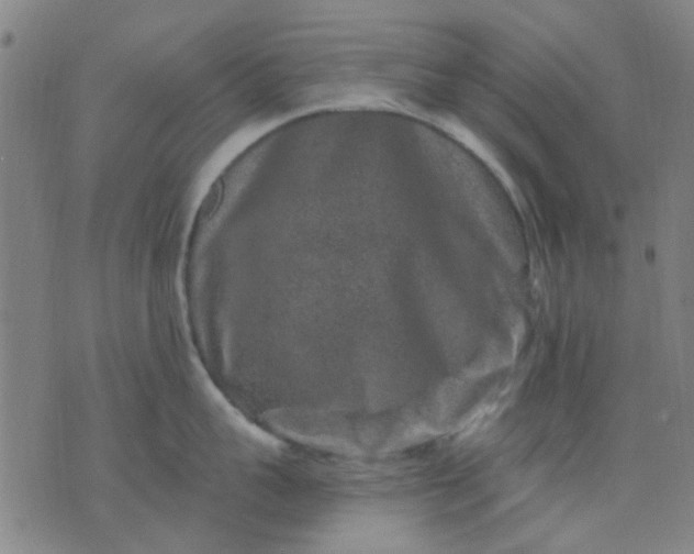 X0000076100959200610061703