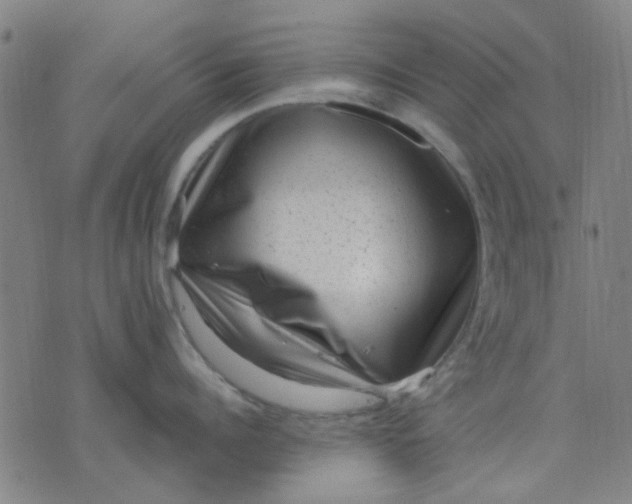 X0000076100960200610061703