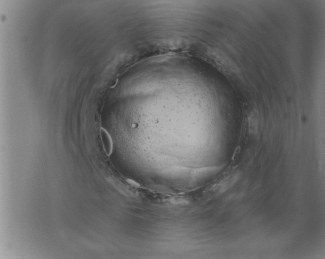 X0000076100961200610061702