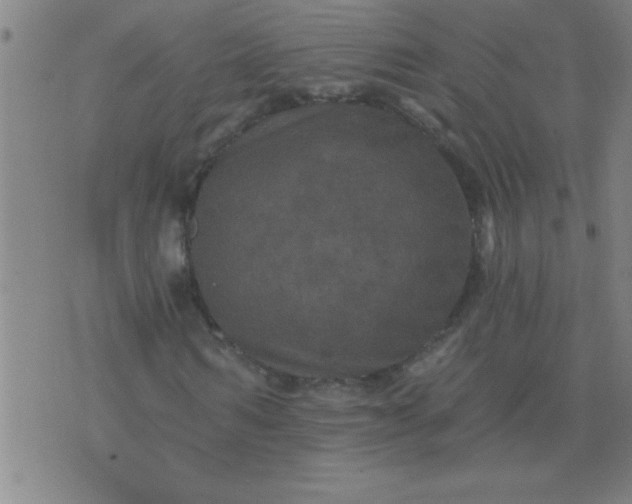 X0000076100962200610061702