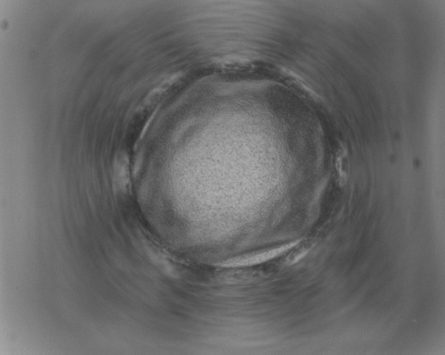 X0000076100963200610061702