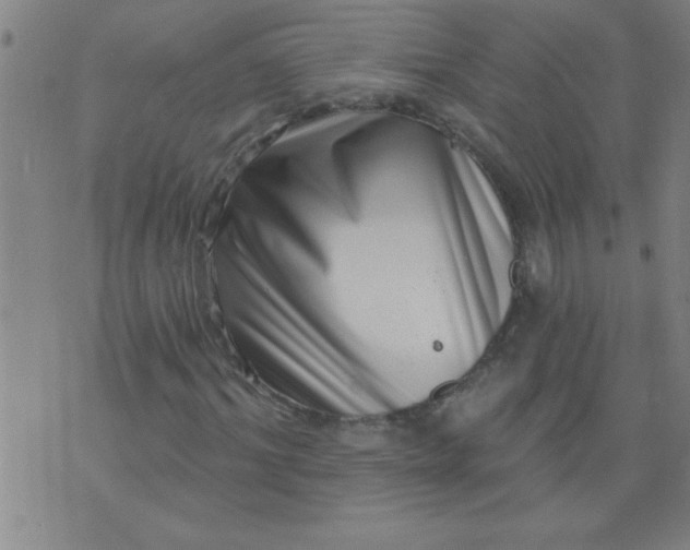 X0000076100964200610061702