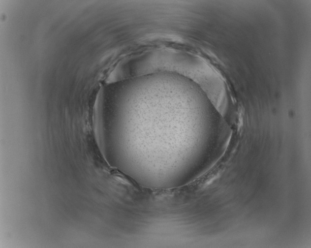 X0000076100965200610061702