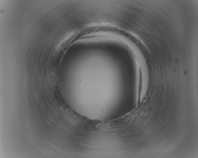 X0000076100967200610061702