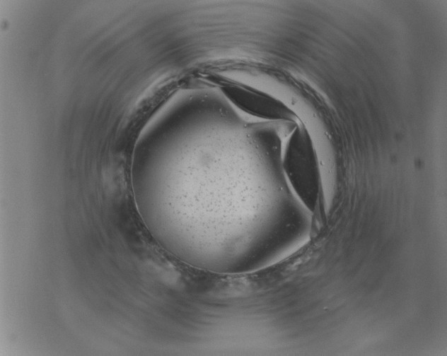 X0000076100968200610061702