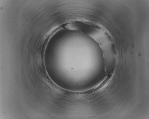 X0000076100969200610061702