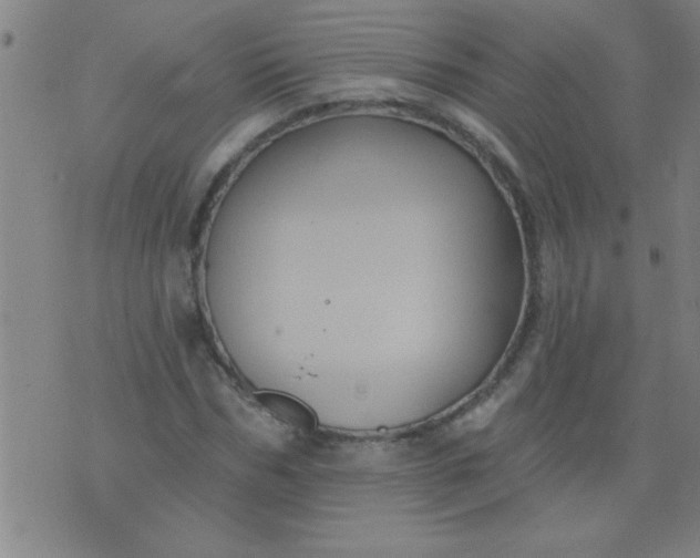 X0000076100970200610061702