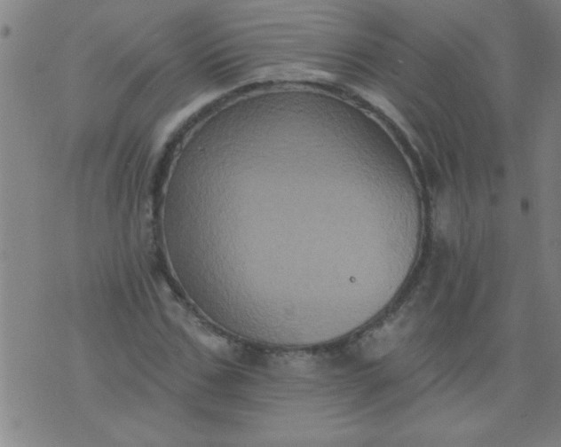 X0000076100971200610061702