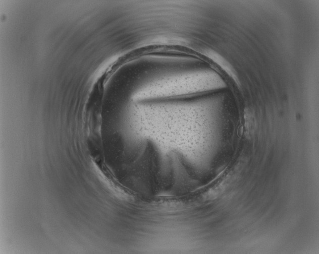 X0000076100972200610061702