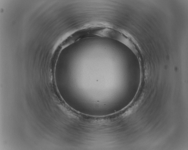 X0000076100973200610061702