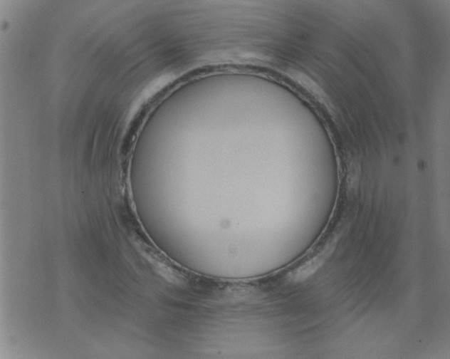 X0000076100974200610061702