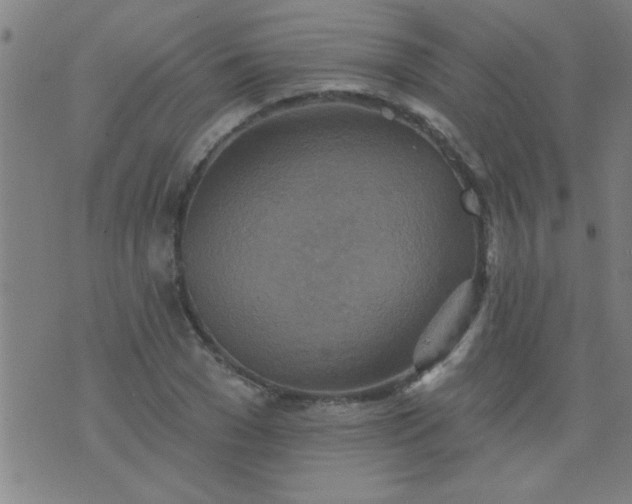 X0000076100977200610061702