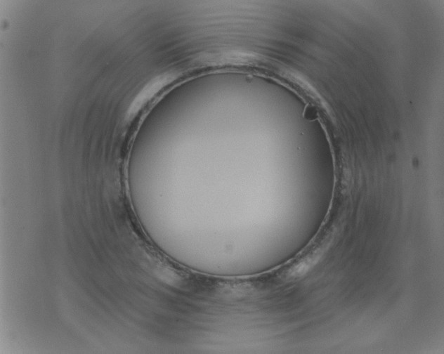 X0000076100978200610061702