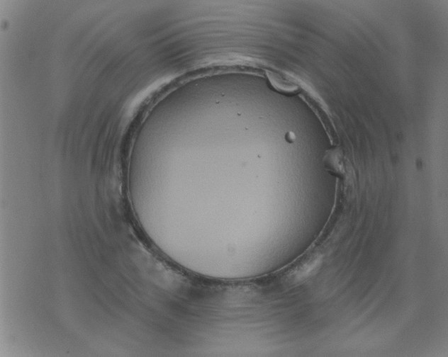 X0000076100979200610061702