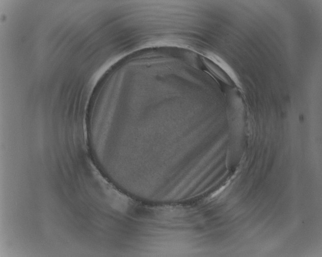 X0000076100980200610061702