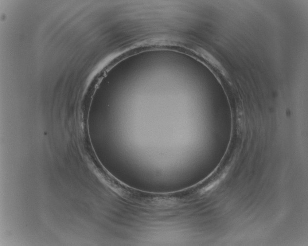 X0000076100981200610061702