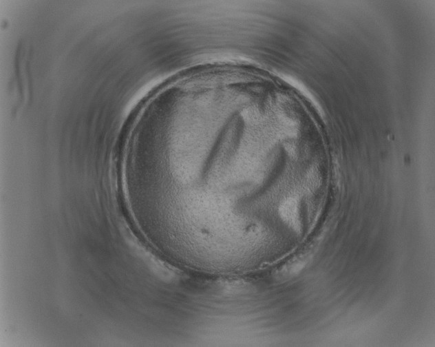 X0000076100983200610061702