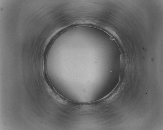 X0000076100984200610061702