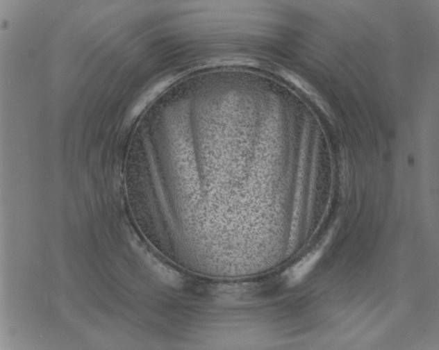 X0000076100985200610061702