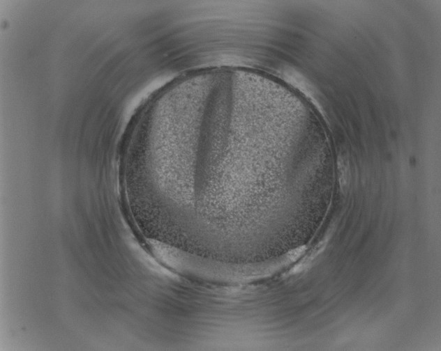 X0000076100987200610061702