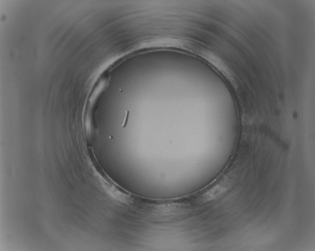 X0000076100988200610061702