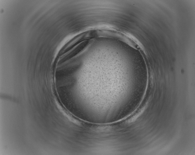 X0000076100989200610061702