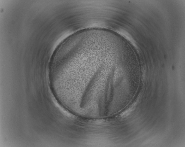 X0000076100991200610061702