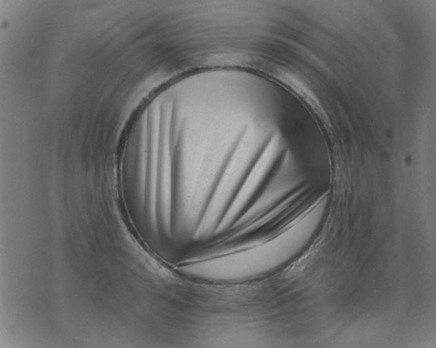 X0000076100992200610061702