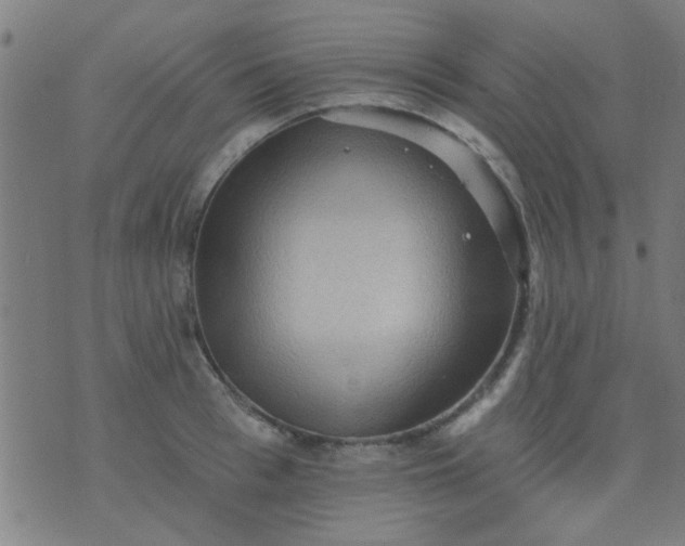 X0000076100993200610061702