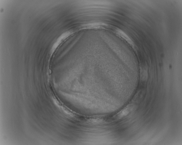 X0000076100994200610061702