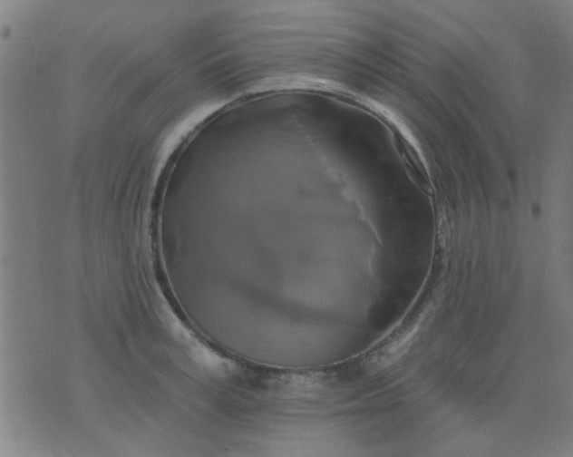 X0000076100995200610061702