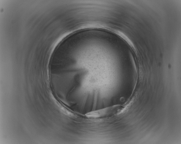 X0000076100996200610061702