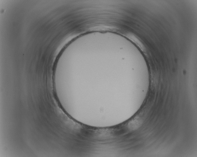 X0000076101000200610061702