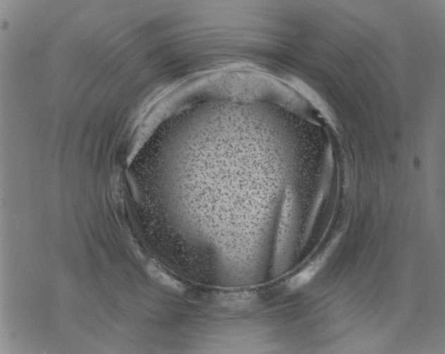 X0000076101001200610061702