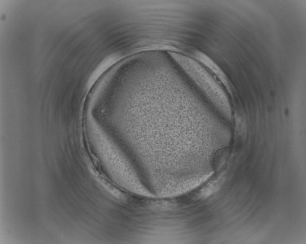 X0000076101002200610061702