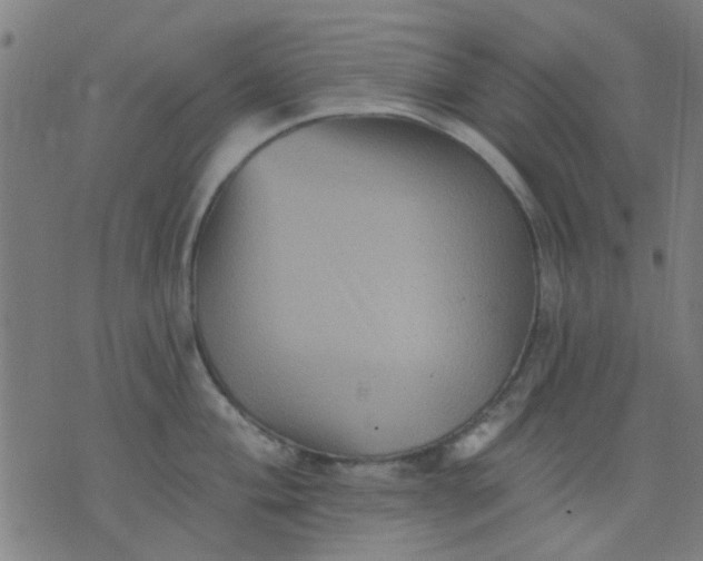 X0000076101004200610061702