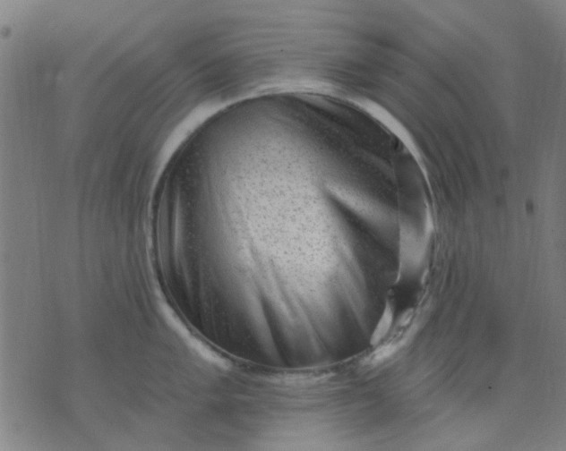 X0000076101005200610061702