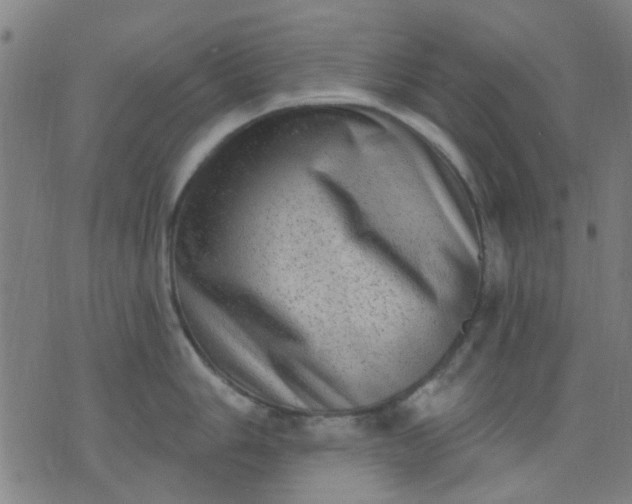 X0000076101006200610061702