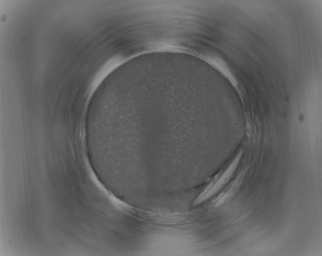 X0000076101007200610061702