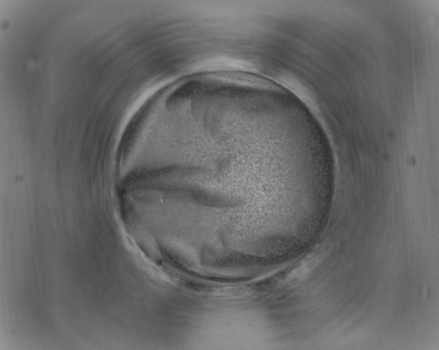 X0000076101008200610061702