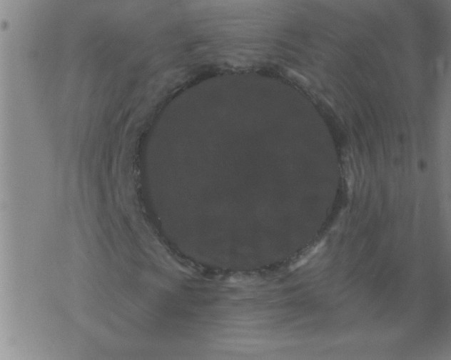 X0000076101009200610061701