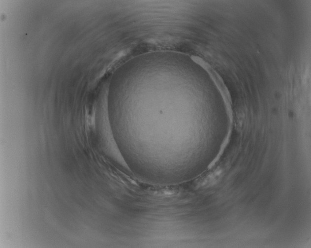 X0000076101010200610061701