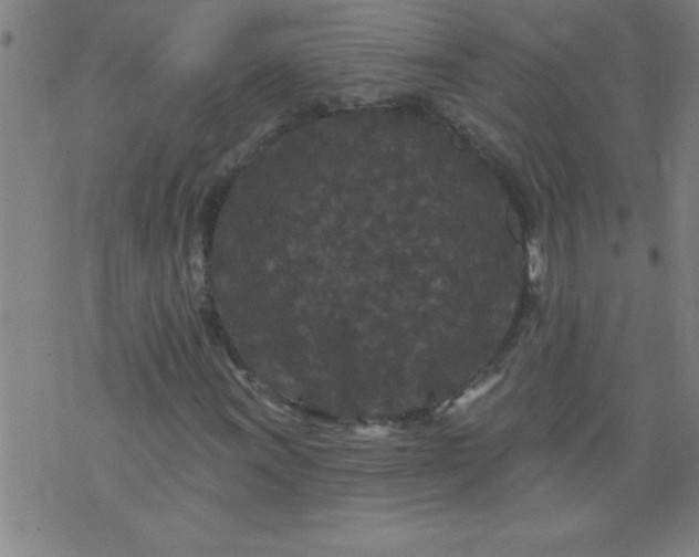 X0000076101011200610061701