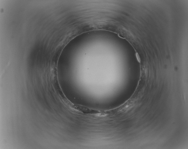 X0000076101012200610061701