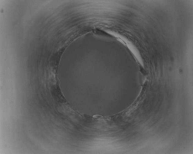 X0000076101013200610061701